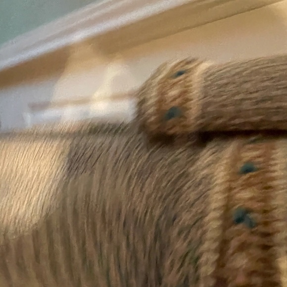 St. John suit - Picture 8 of 14